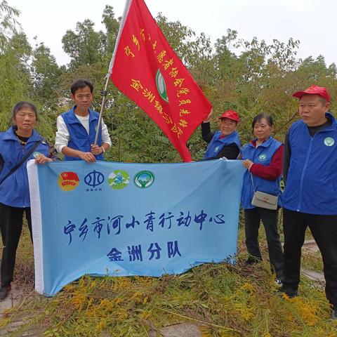 清除外来物种，加拿大一枝花