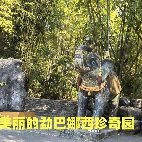 美丽的勐巴娜西珍奇园