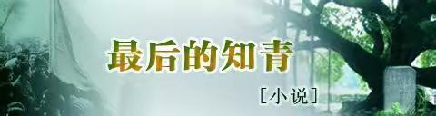 46、急切回家遭婉拒，星夜冒险去场部——小说：最后的知青