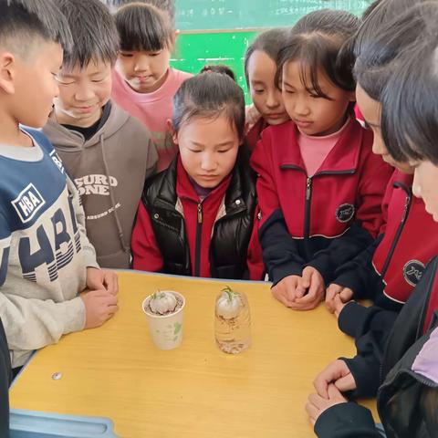 【关爱学生，幸福成长】【西里疃小学】科学探究，奥秘无限