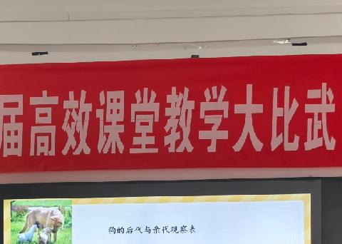 【二实小·宁陵县第四届高效课堂教学大比武特辑（小学科学）】—— 扬教育之光，树师者风范