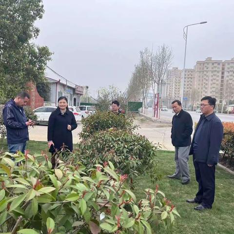 春来万物苏   种植正当时   抢抓时机补栽补植扮靓城市风景