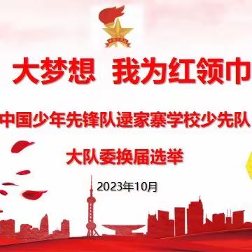 小岗位 大梦想 我为红领巾添光彩——西宁市总寨镇逯家寨学校少先队大队委举行换届选举