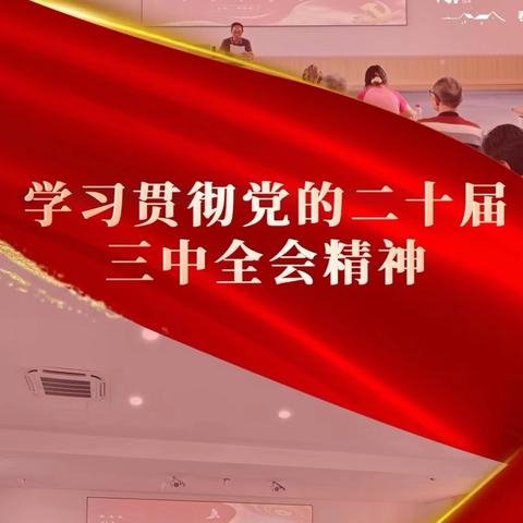 溆浦县油洋乡中心小学 开展二十届三中全会精神学习宣讲活动