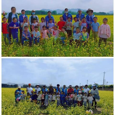 大韩庄幼儿园户外写生活动———油菜花