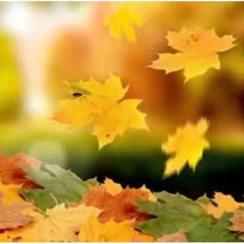 遇见与成长相拥--铁路小学开展学习“新课标”研讨活动