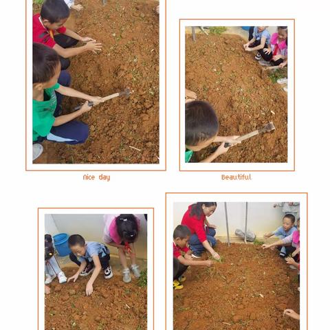 品播种之趣，享劳动之美——桂林市临桂区南边山镇中心小学种菜劳动教育实践活动