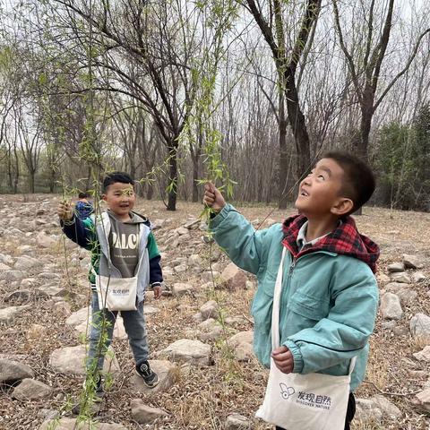 乌仁都西民族幼儿园中大班自然物探索活动