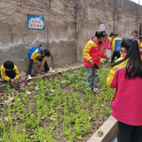 小小种植园，大大的快乐