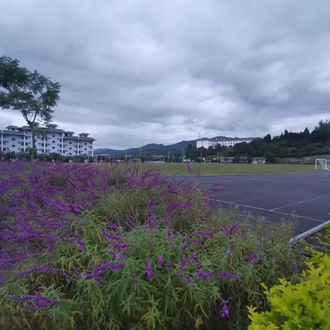 峨山县双江中学教育集团----小街中学校区揭牌仪式