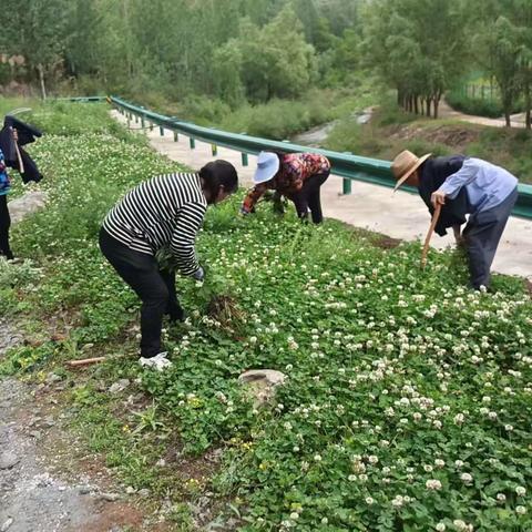 人居环境整治促乡村振兴