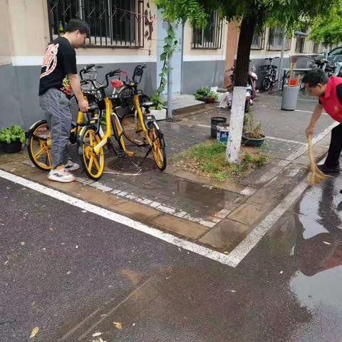 借雨洗城 家园更清新