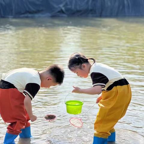 本真幼稚园仲夏亲子嘉年华