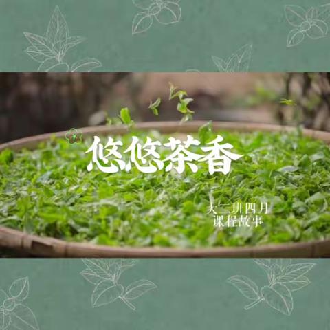 《悠悠茶香》大二班课程故事