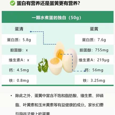 “一个鸡蛋，温暖你我”——贝乐佳幼儿园一个鸡蛋项目