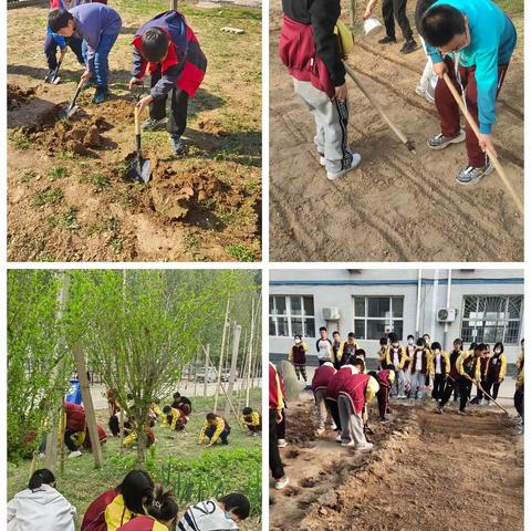 以劳育德促“双减”，  五育融合润童心———辛集市南智邱镇东小王小学探索“双减”新路径