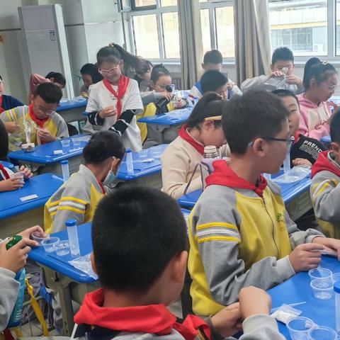 钱小四年级科学实验课