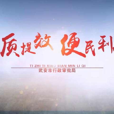 武安审批工作周刊（2023年第44期）