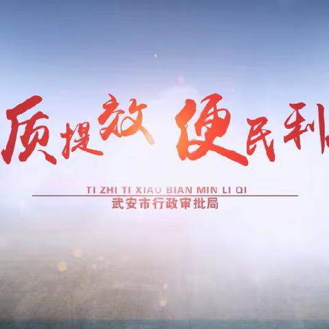 武安审批工作周刊（2024年第12期）