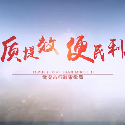 武安审批工作周刊（2024年第20期）