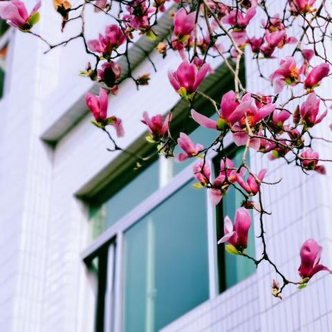 匡亚明小学3月家校共育总结