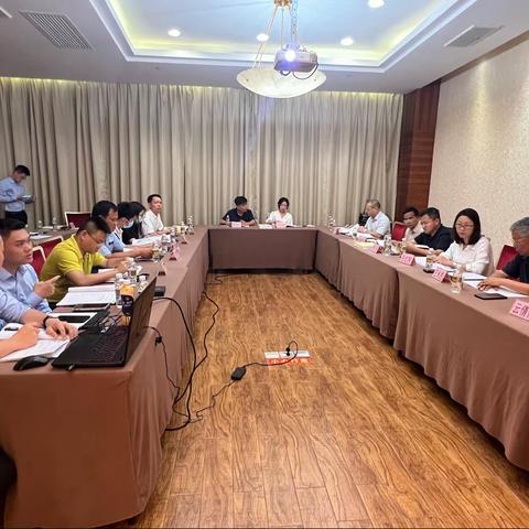 椰林镇组织专家召开“多评合一”《陵水黎族自治县陵河北片区城市更新项目（一期）征收工作社会稳定风险会议
