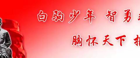 海南白驹学校备战2024年海口市青少年科技创新大赛动员会