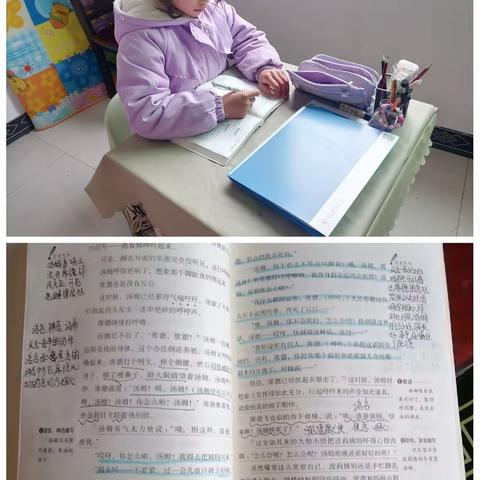 寒假阅读   助力成长——龙坝镇龙湖小学六年级寒假整本书阅读挑战赛已启动