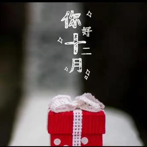 瑞吉欧幼儿园中一班12月宝贝成长记录月分享