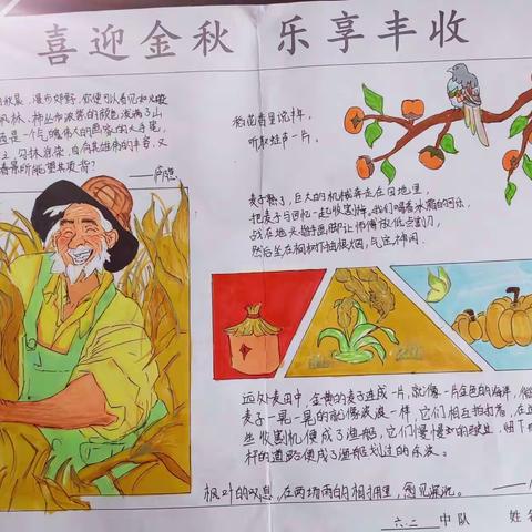 庆丰收 促和美—黄店镇学区劳动实践活动
