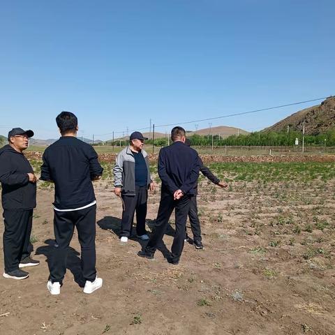 美友90194766的文章