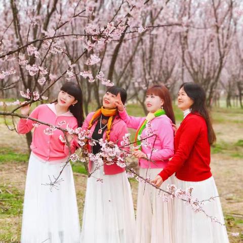 樱花小镇相约春天 美丽瞬间永久纪念