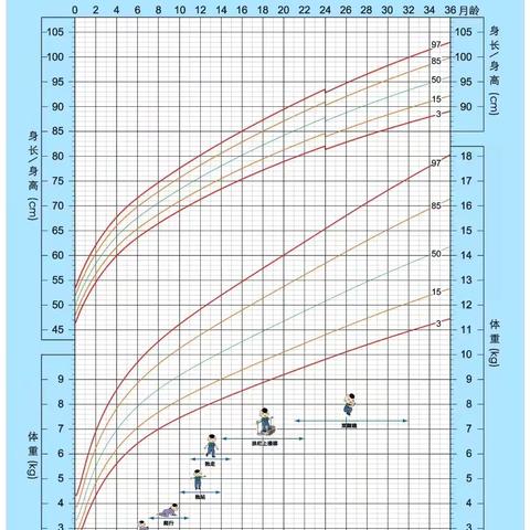 3岁以下婴幼儿健康养育安全照护指南