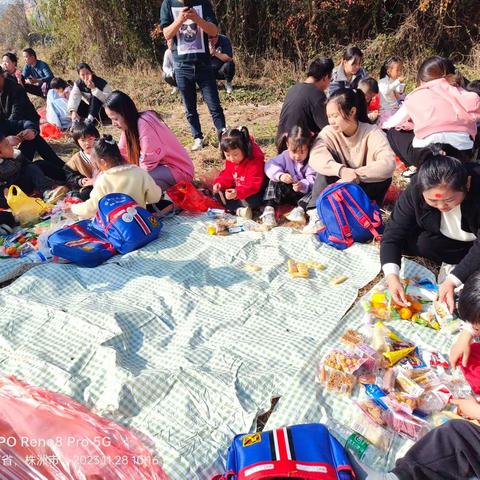 大自然的幼儿园——田野大发现