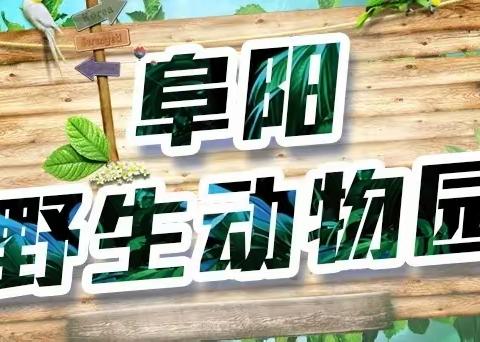 蓝天幼儿园2024春季户外大课堂-|走进动物园，激情欢乐城！
