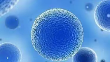 科普丨生病其实就是细胞在喊救命，人类只生一种病那就是细胞病！