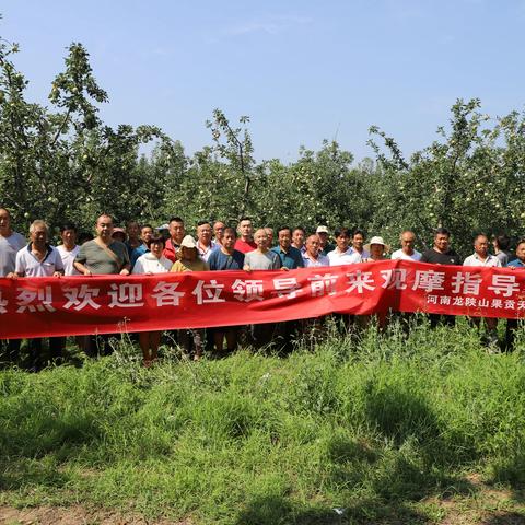 陕州区阳光丑苹果（免套袋）现场观摩会成功举办