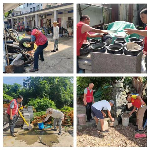 区农业农村局持续开展夏秋季蚊媒传染病防控百日攻坚工作(8月9日)