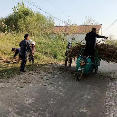 人居环境整治:共建美丽乡村《杨董村网格员田秀清》