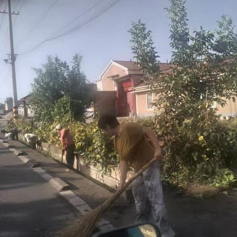 村庄环境卫生治理：从日常行动到环境新貌