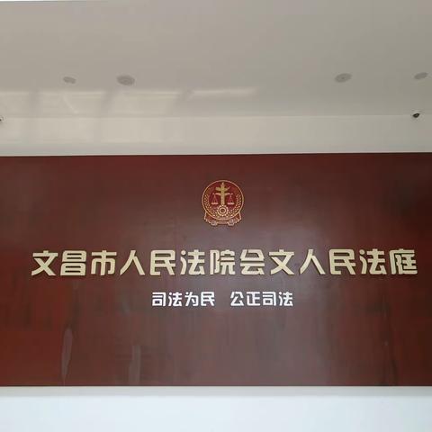 文昌市会文中心小学参观法院