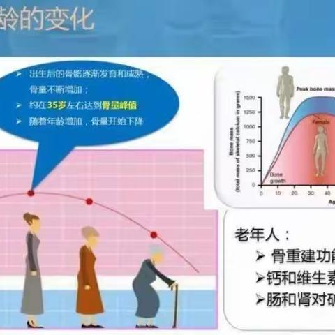 骨质疏松的基础治疗——高中医南院骨伤二科