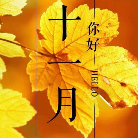 新远城物业保税项目11月工作简报