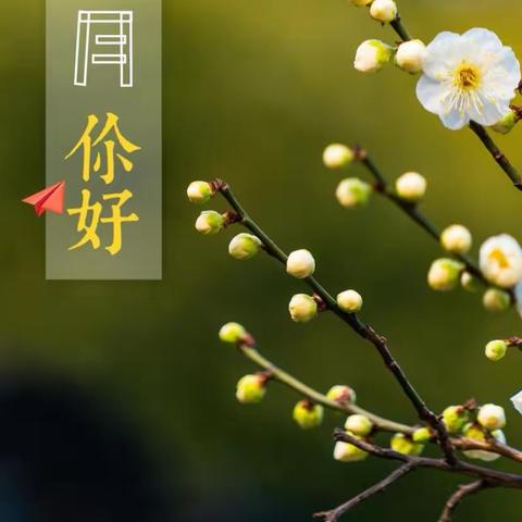 新远城物业保税项目3月工作简报