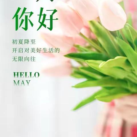 新远城物业保税项目5月工作简报
