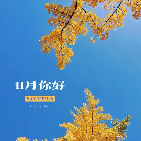新远城物业保税项目11月工作简报