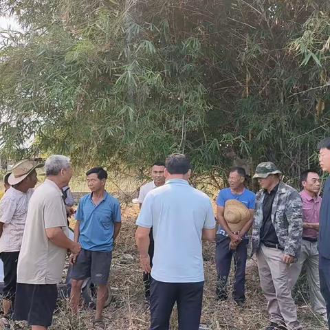 【乡村手记6】为民办实事打通“连心路”——上红兴村联合下红兴村破解农业生产通行难题