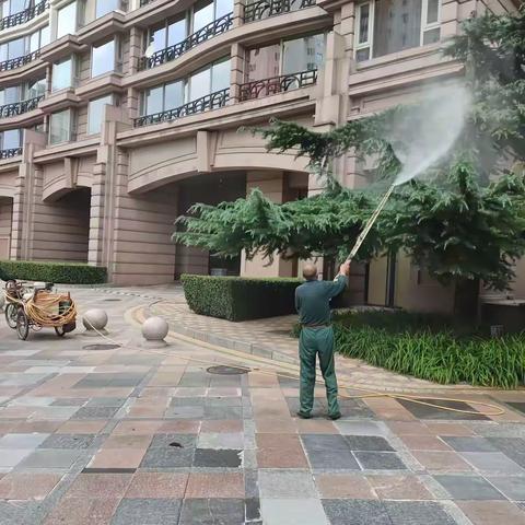 聚焦 “蚊” 题解民忧·精准消杀护家园——六里屯街道嘉福园社区夏季灭蚊蝇行动