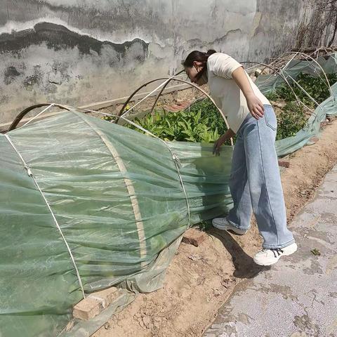 张潘马村网格员扈云红简篇