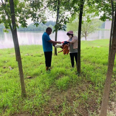 人居环境卫生整理打造美丽乡村